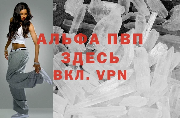 ПСИЛОЦИБИНОВЫЕ ГРИБЫ Белоозёрский