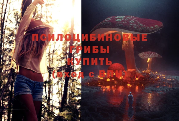 ПСИЛОЦИБИНОВЫЕ ГРИБЫ Белоозёрский
