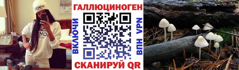 Псилоцибиновые грибы Psilocybine cubensis  Купино 